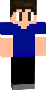 skin_GuiPC