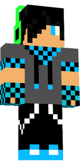 skin
