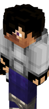 Ender Steve Hoodie