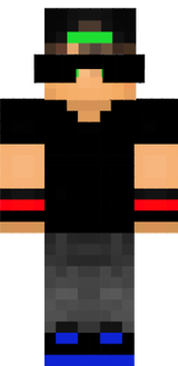 skin