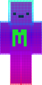 Meet 