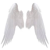 angel wings