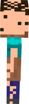steve