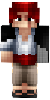 shanks