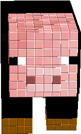 Suited Pig