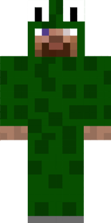 Little lizard herobrine