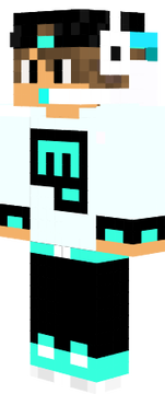 BisMan