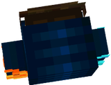 COCO456