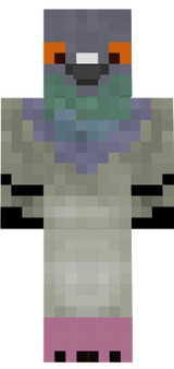 pigeon