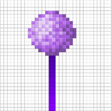 allium