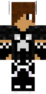 Mein skin