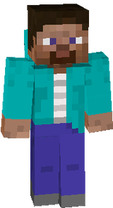 steve1