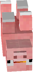 bobs pet