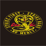 cobra kai cape