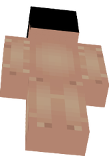 pliogion