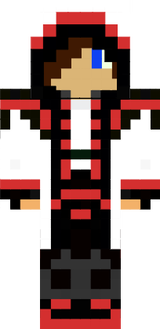 Mr Mincrafter