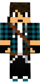 Hesh fixed quiver