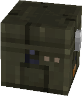 chest