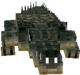 crocodil
