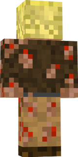skin zelda
