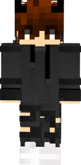 1.1