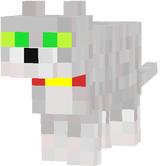 ragdoll
