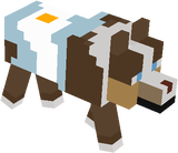 perro pako
