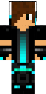 skin
