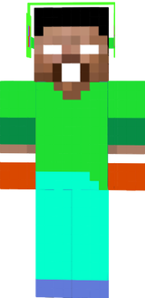 skin