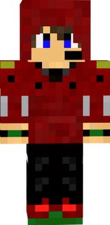 pallinn red hoodie