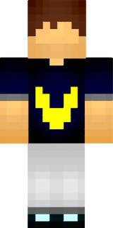 vii