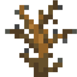 thorn