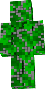 The bush