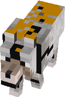 lobao