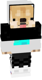 Doge2