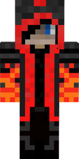 SteveNinja