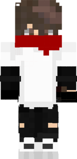 ninja