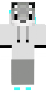 TheArcticFoxGamer