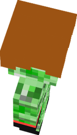 TheDerpyCreeper