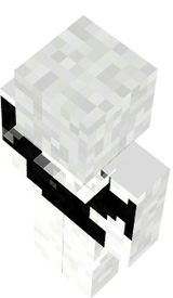 ninja-skin