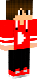 dds