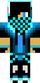 mestermc skin