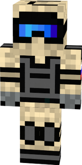 skin 1