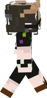 beaverr
