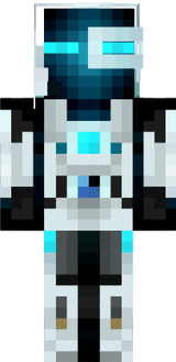 minecraft my skin !
