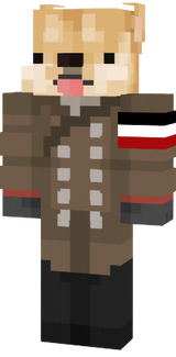 doge2