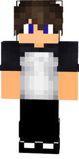 SKIN ATT