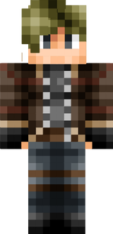 skin