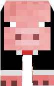 suit pig