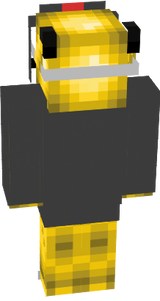 PIKASHU BIRD